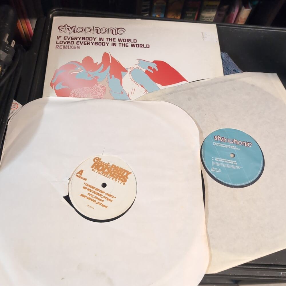 Stylophonic If Everybody ..World Loved 12' Vinyl Record Prolifica Lot Party Rock